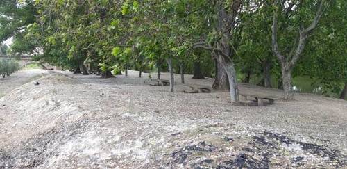 imagen 4 de Venta de finca en Lerín (Navarra)