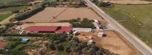 imagen 1 de Venta de hípica en Tudela