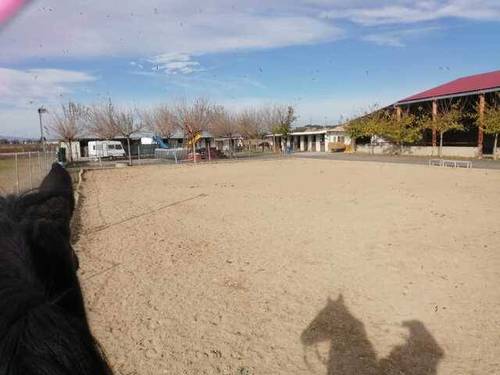 imagen 4 de Venta de hípica en Tudela