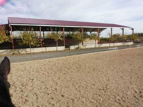 imagen 5 de Venta de hípica en Tudela