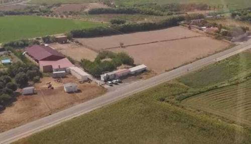 imagen 7 de Venta de hípica en Tudela