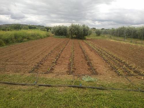 imagen 1 de Venta de terreno ocio y recreo en san Martin de Unx