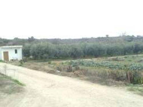 imagen 2 de Venta de tierra de Labor