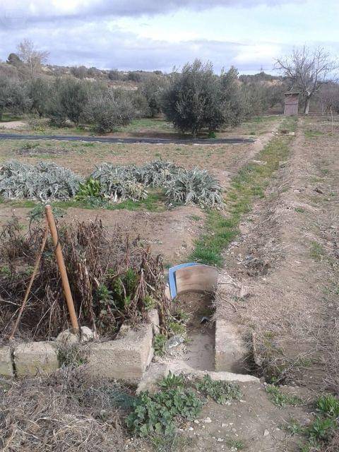 imagen 4 de Venta de tierra de Labor
