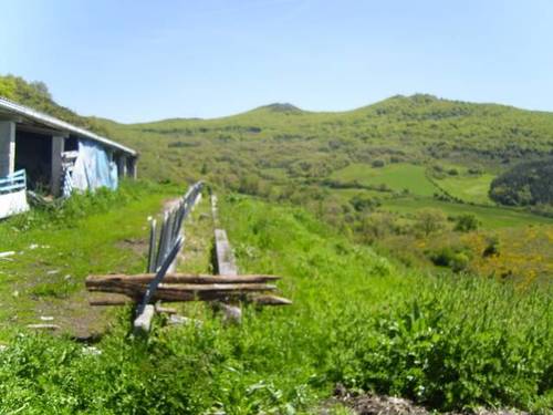 imagen 1 de Finca ganadera cerca de Pamplona
