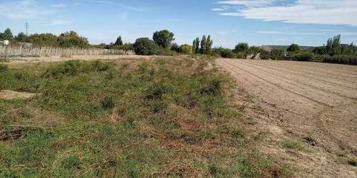 imagen 1 de Venta de tierra de labor