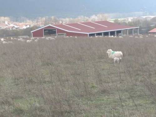 imagen 2 de finca rustica con nave para ganado