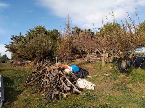 imagen 3 de Venta de finca con pabellón en Leza