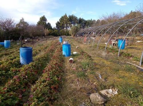 imagen 7 de Venta de finca con pabellón en Leza