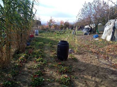 imagen 4 de Venta de finca con pabellón en Leza