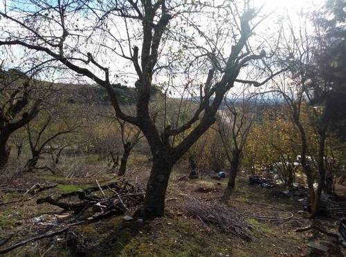 imagen 5 de Venta de finca con pabellón en Leza
