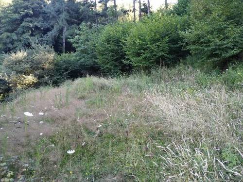 imagen 2 de Venta de finca en Eskoriatza