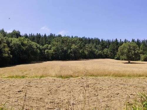 imagen 2 de Venta de finca con caserío en Lezama