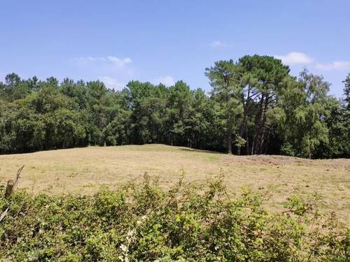 imagen 1 de Venta de finca con caserío en Lezama