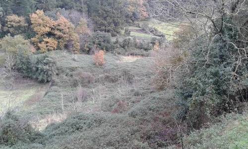imagen 1 de Venta de finca rústica en Ereño con caserío