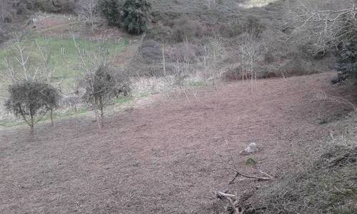 imagen 2 de Venta de finca rústica en Ereño con caserío