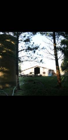 imagen 3 de Se vende instalación ganadera en Orduña