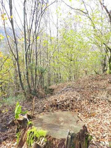 imagen 1 de Venta de terreno con borda en Elduain