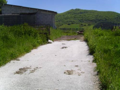 imagen 2 de Se vende finca ganadera en Tolosa