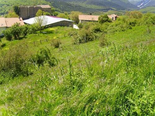 imagen 1 de Se vende finca ganadera en Tolosa