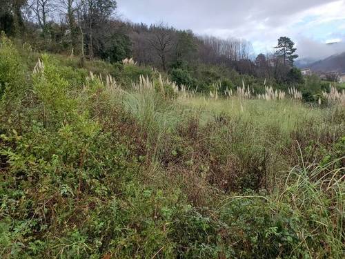 imagen 1 de Venta de finca rústica en LLodio
