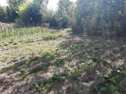 imagen 2 de Venta de terreno rústico con arroyo en Pobes