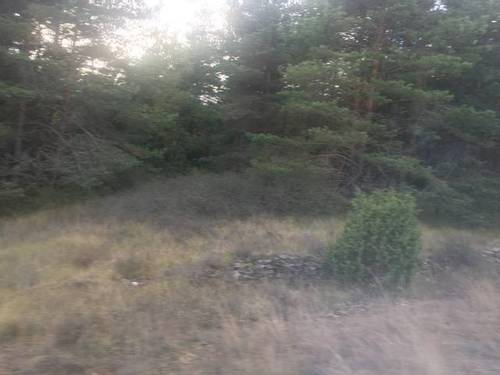 imagen 2 de Venta de terreno rústico en Cuartango