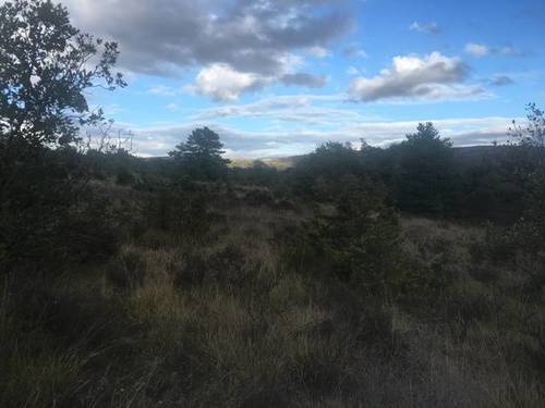 imagen 3 de Venta de terreno rústico en Cuartango