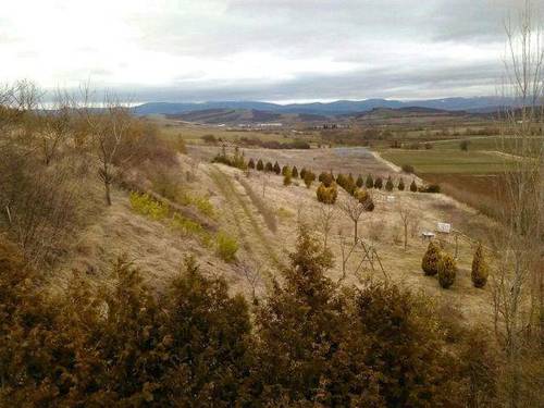 imagen 1 de Venta de finca ecológica en Gauna