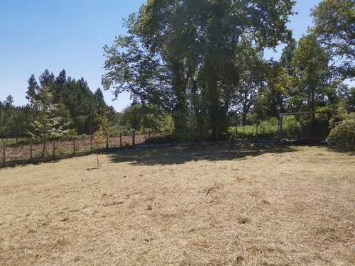 imagen 2 de Venta de parcela en O castro