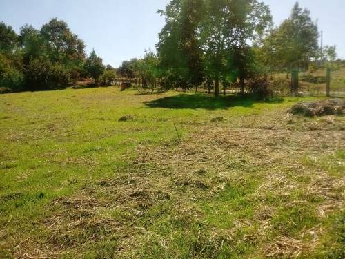 imagen 1 de Se vende terreno en Celanova