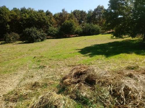 imagen 1 de Se vende terreno en Celanova