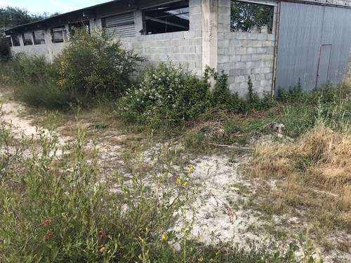 imagen 1 de Vendo finca ganadera en Verin