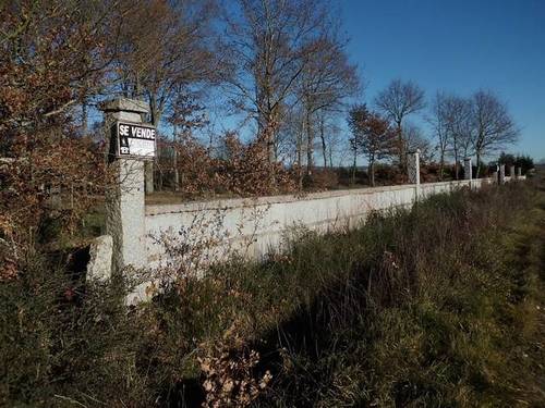 imagen 2 de Venta de finca con robles centenarios en Xinzo