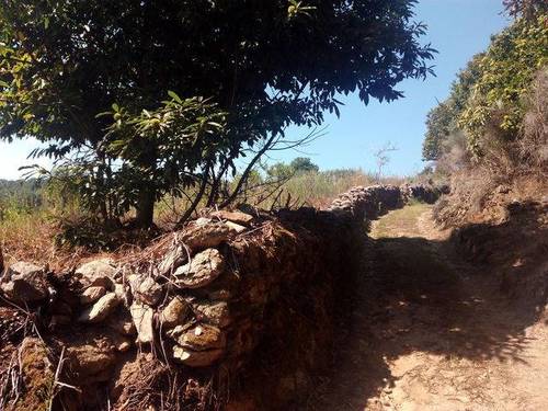 imagen 1 de Se vende finca de labor en A pobra de Tives