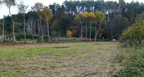 imagen 2 de Venta de finca en A Granxa