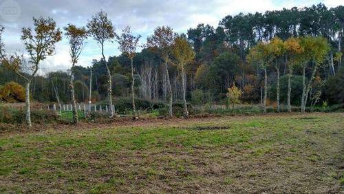 imagen 3 de Venta de finca en A Granxa