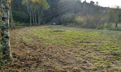 imagen 1 de Venta de finca en A Granxa