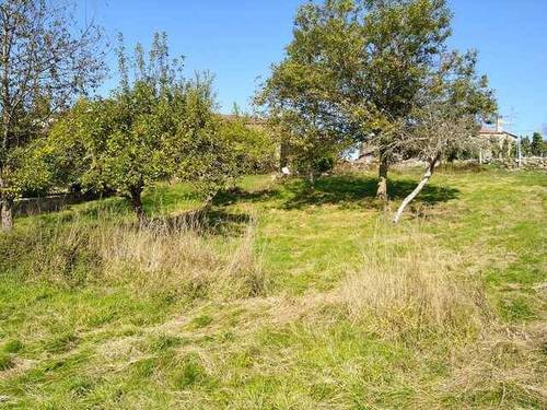 imagen 5 de Venta de terreno con 2 casas de piedra a reformar en Vilamarin