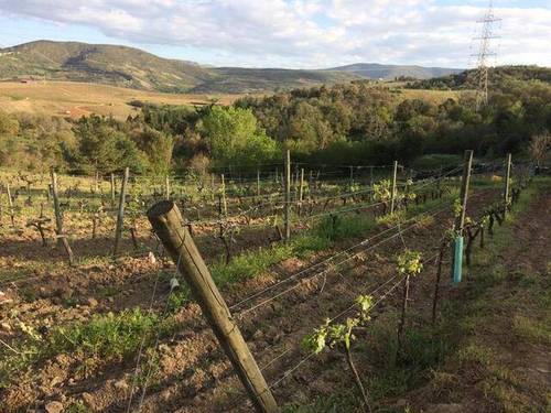 imagen 3 de Venta de terreno con 2 casas de piedra a reformar en Vilamarin