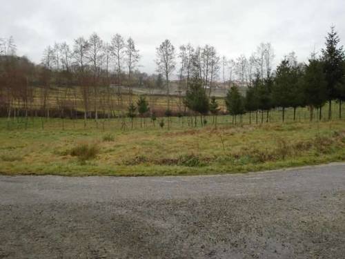 imagen 1 de Se vende terreno en Mosteiro de Riveira