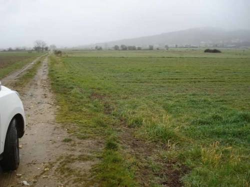 imagen 2 de Se venda tierra de labor en Mosteiro