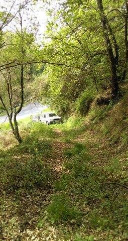 imagen 1 de Se vende terreno forestal en Pereiro de Aguiar