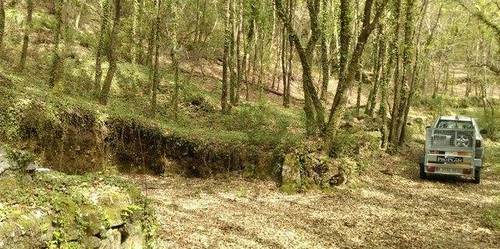 imagen 1 de Se vende terreno forestal en Pereiro de Aguiar