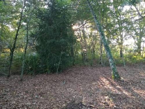 imagen 2 de Se vende parcela en Tarreirigo