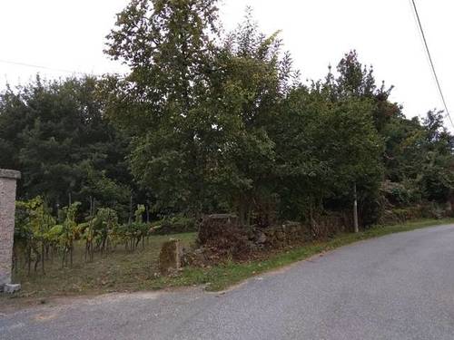 imagen 1 de Se vende Parcela en Cima de Vila