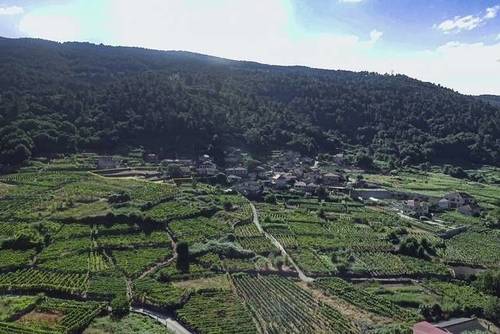imagen 1 de Venta de terreno en Arnoia