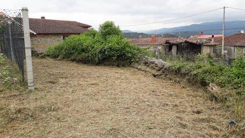 imagen 2 de Vendo finca de recreo en Coles