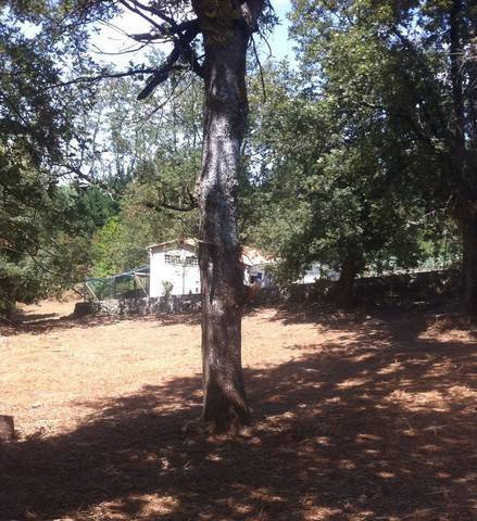imagen 2 de Vendo terreno en Paderne de Allariz
