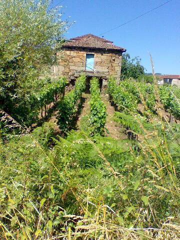 imagen 1 de Venta de terreno en Oleiros